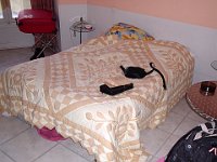 Foto 157